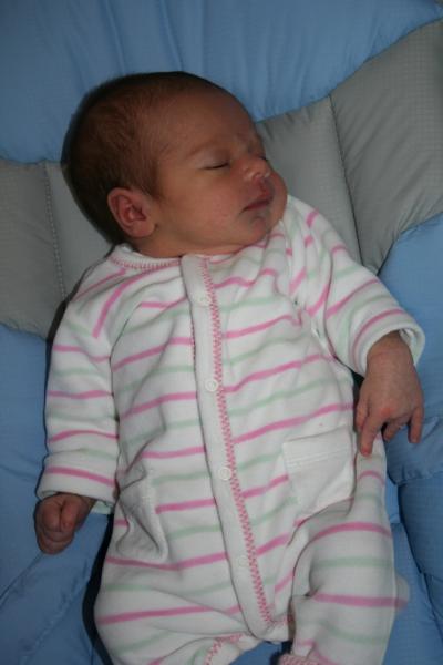 Nathan et Gaspard sont heureux de vous pr�senter...