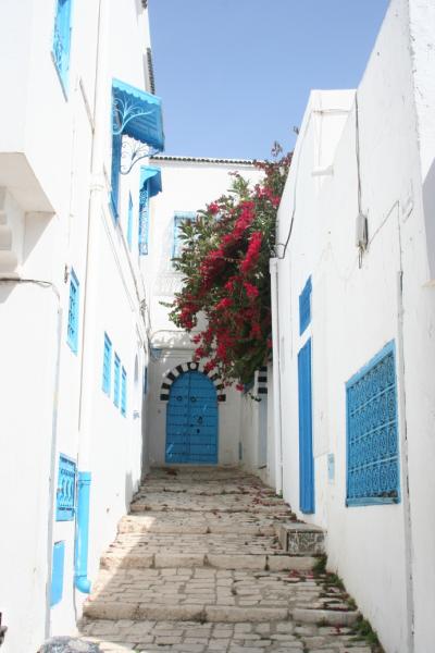 Sidi Bou Sa�d
